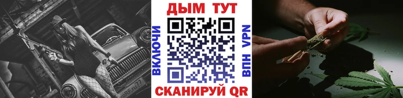 площадка официальный сайт Тайшет Бошки Шишки план